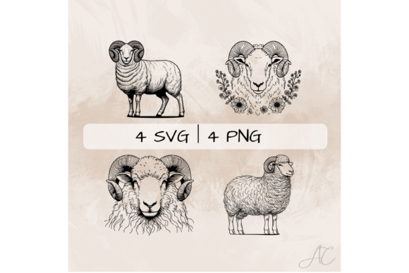 Download Ram SVG Bundle, Male Sheep PNG - Sheep Collection